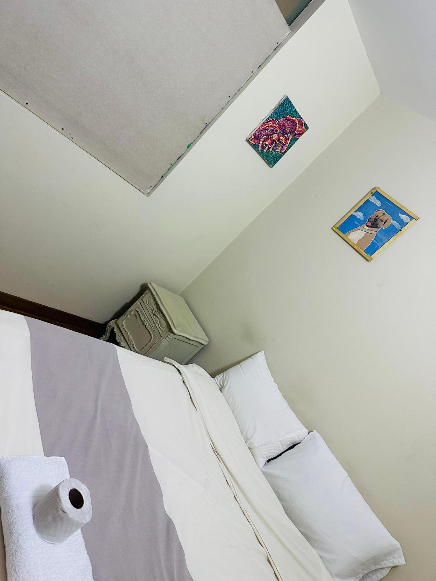 Hostel Colores Miraflores ลิมา ภายนอก รูปภาพ